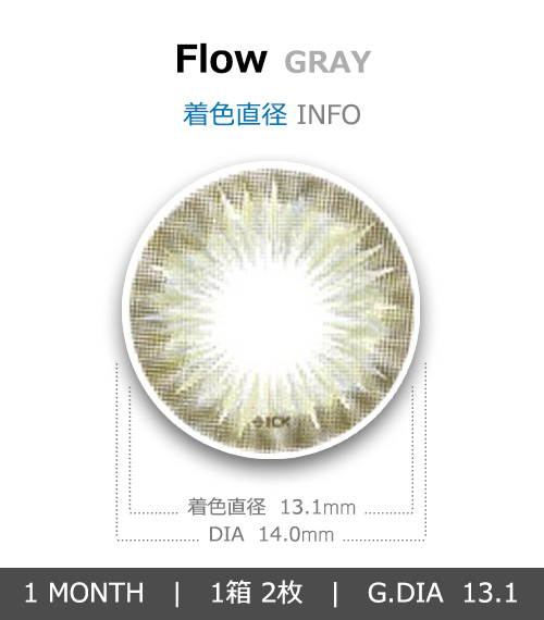 [1-Month] Ice Flow Gray (2pcs)4