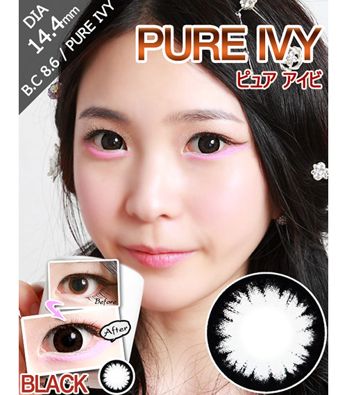[6-Months] PURE IVY Black (2pcs)1