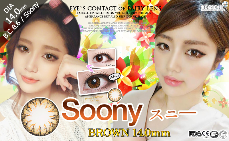 [6-Months] SOONY Brown (2pcs)