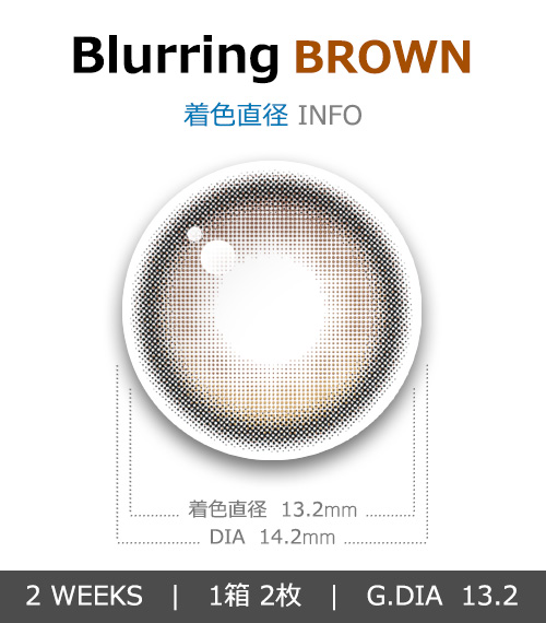 [2-Weeks] Blurring Brown (2pcs)4
