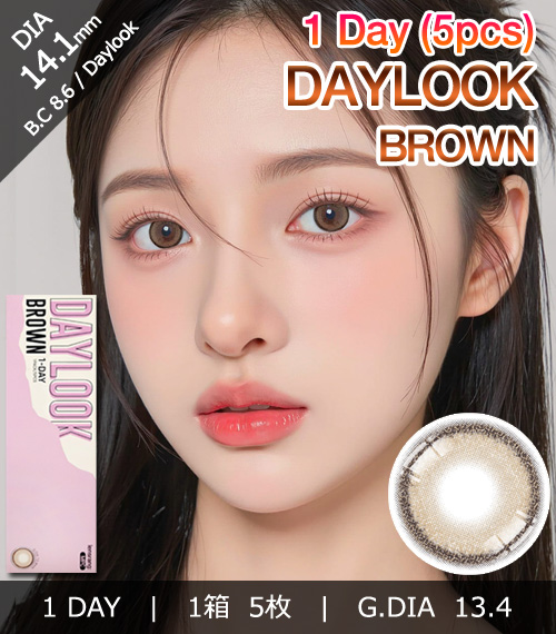 [1-Day] Daylook Brown (5pcs)1