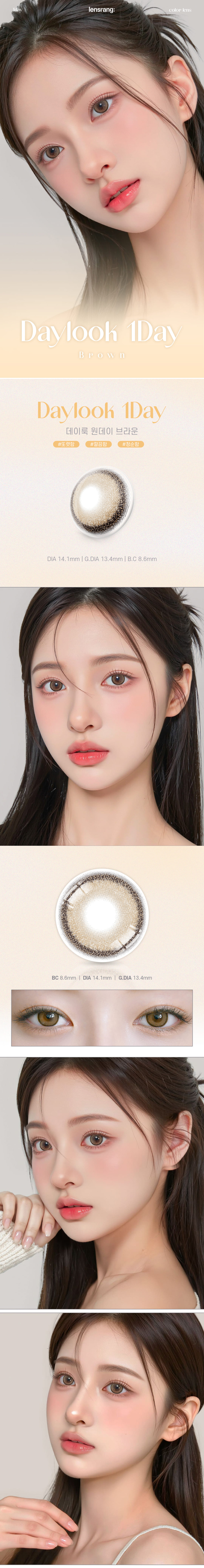 [1-Day] Daylook Brown (5pcs)