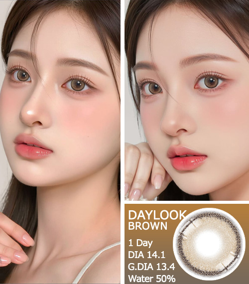 [1-Day] Daylook Brown (5pcs)3