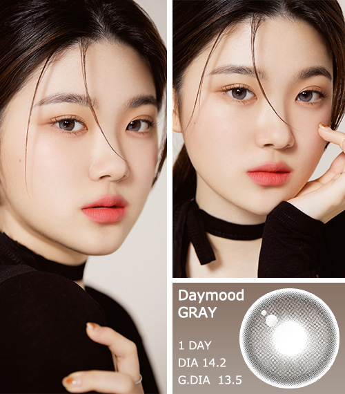 [1-Day] Day Mood Gray (10pcs)3