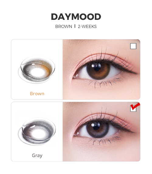 [2-Weeks] Day Mood Gray (2pcs)5