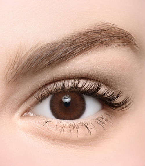 [Toric/Select Period] Torica Aida Choco2