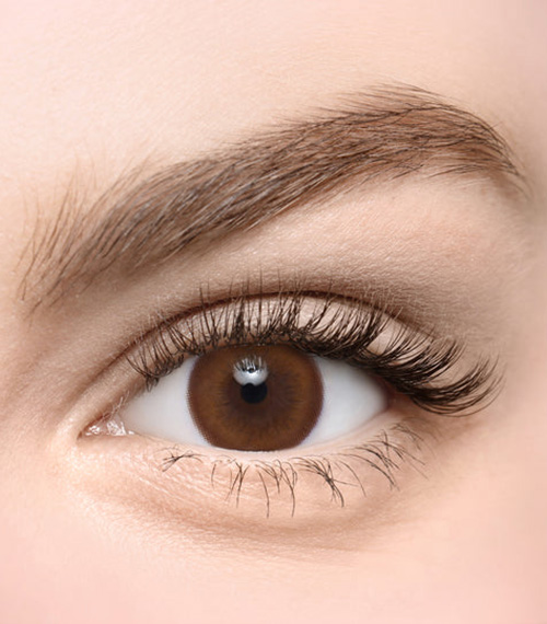 [Toric/Select Period] Torica Aida Hazel2