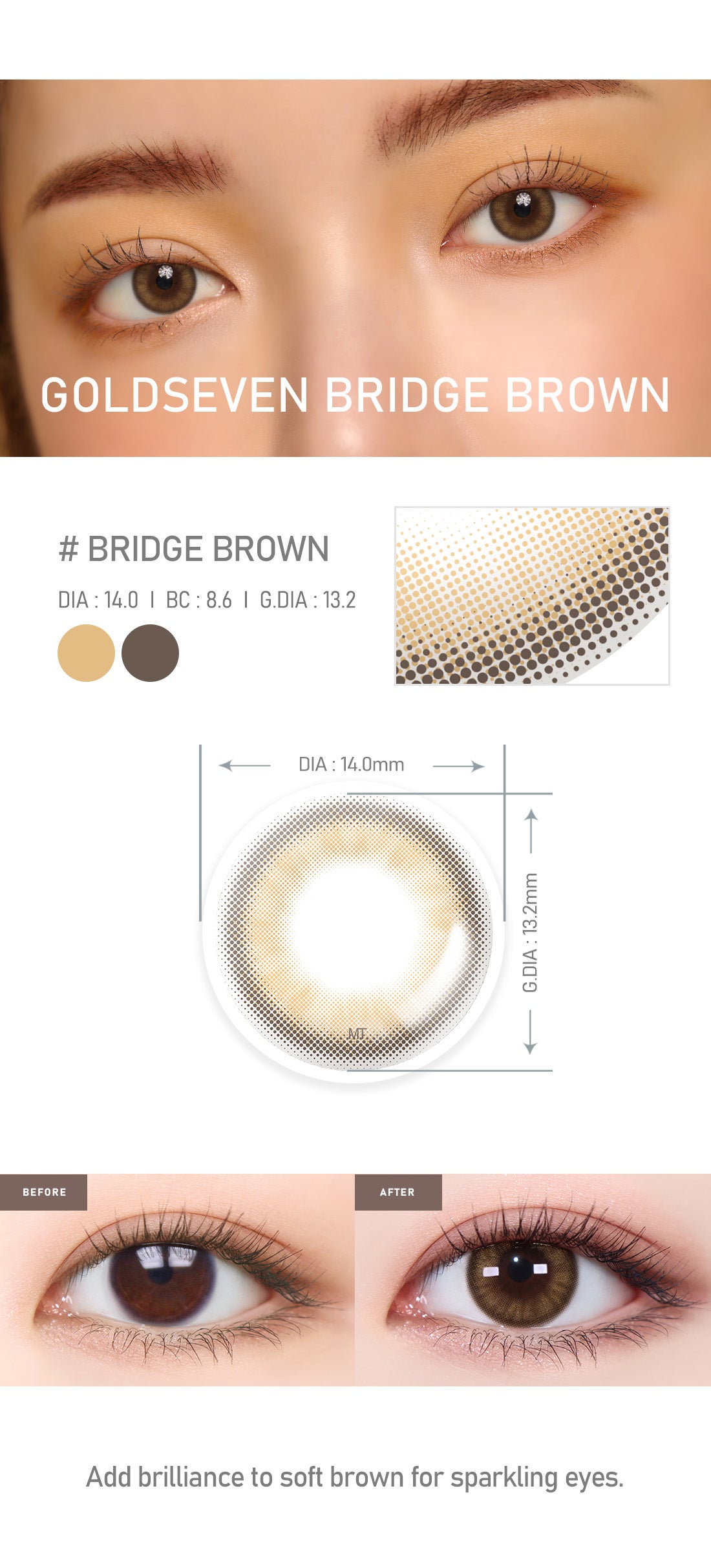 [Toric/Select Period] Torica Bridge Brown
