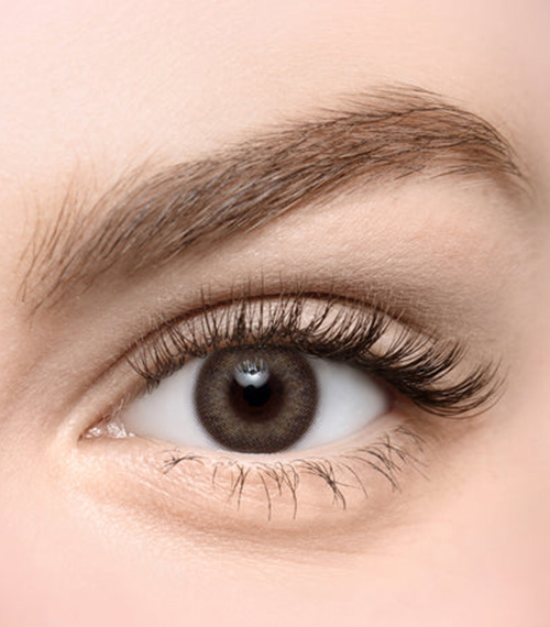 [Select Period] Torica Cendible Brown2
