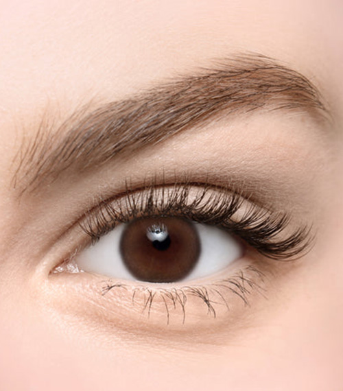 [Toric/Select Period] Torica Dearble Brown2