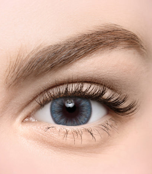 [Toric/Select Period] Torica Eyegee Blue2