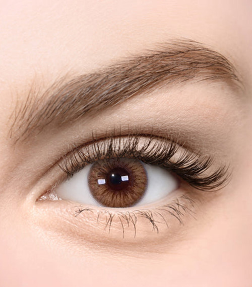 [Toric/Select Period] Torica Eyegee Brown2