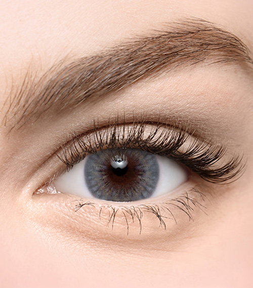 [Toric/Select Period] Torica Eyegee Gray2