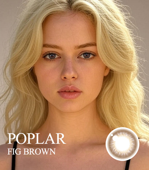 [Toric/Select Period] Torica Fig Brown