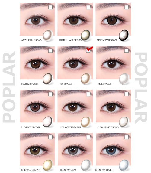 [Toric/Select Period] Torica Fig Brown5
