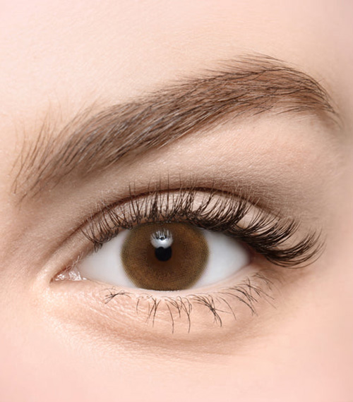 [Toric/Select Period] Torica Honey Brown2