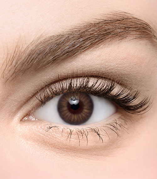 [Toric/Select Period] Torica Iris Brown2