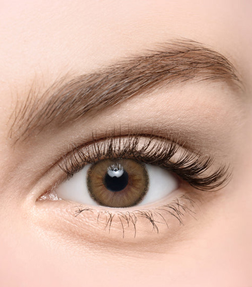 [Toric/Select Period] Torica Latte Brown2