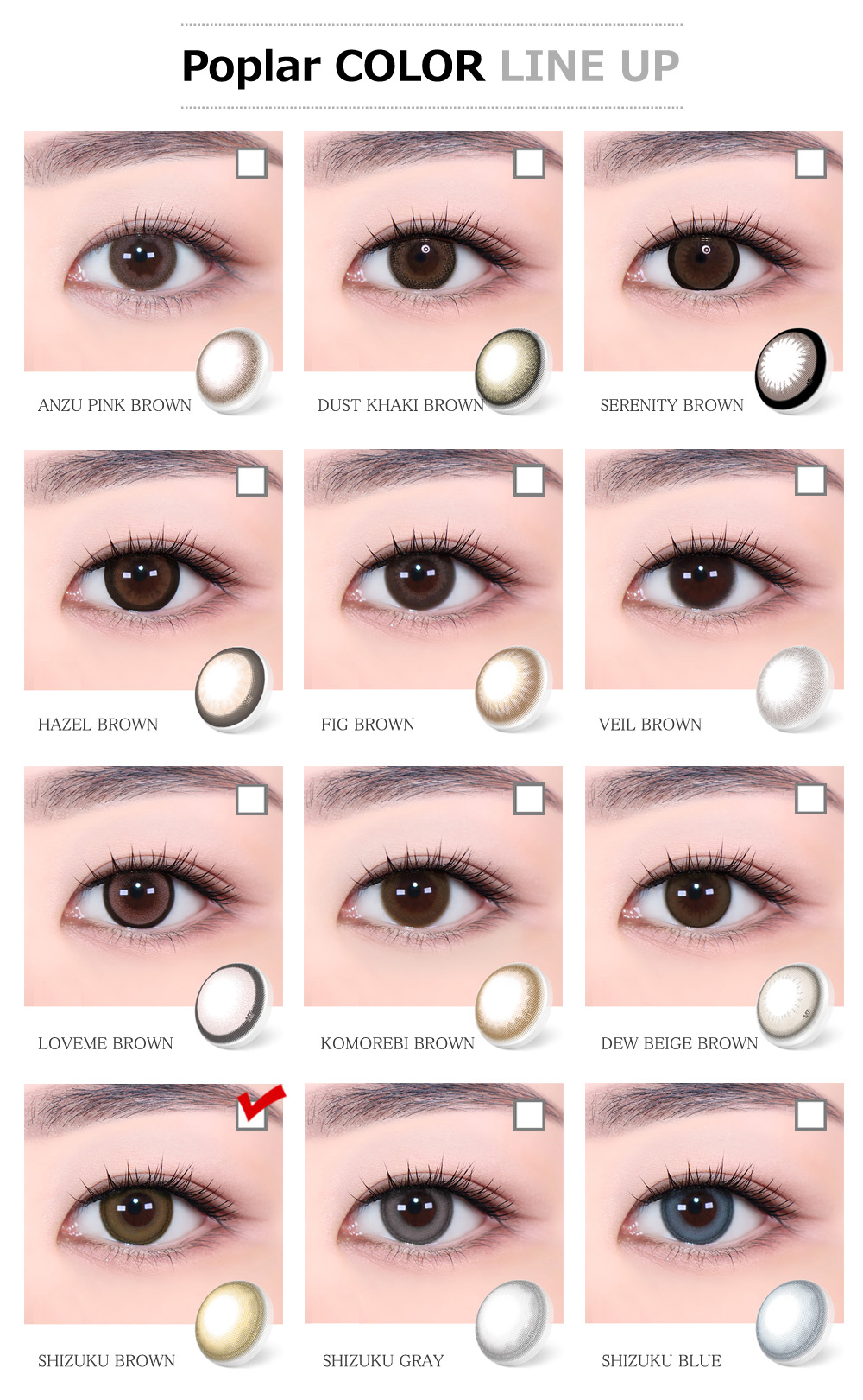 [Toric/Select Period] Torica Shizuku Brown
