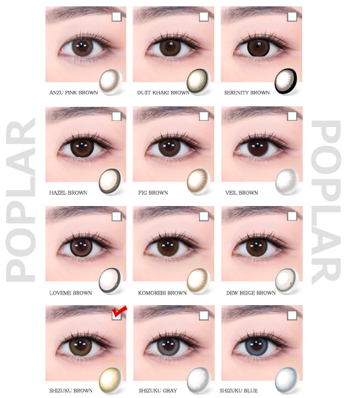[Toric/Select Period] Torica Shizuku Brown5