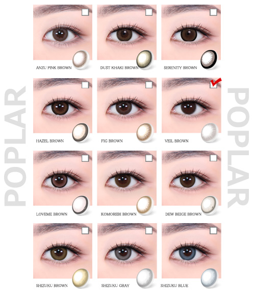 [Toric/Select Period] Torica Veil Brown5