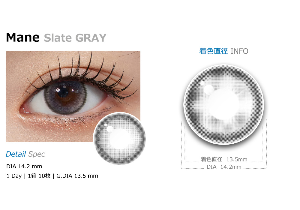 [1-Month] Mane Slate Gray Silicone (2pcs)