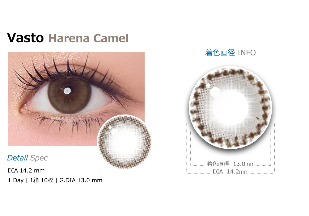 [1-Day] Vasto Harena Camel (10pcs)