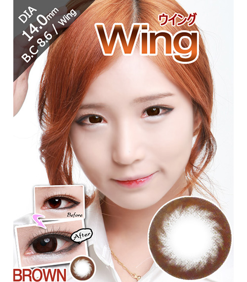 [6-Months] Wing Brown (2pcs)1