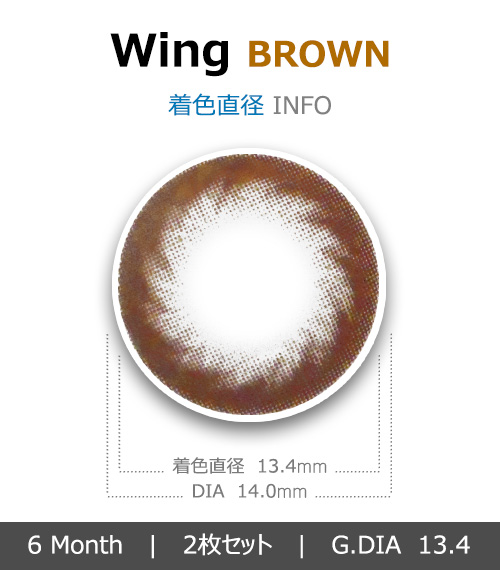 [6-Months] Wing Brown (2pcs)4