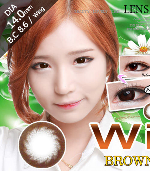 [6-Months] Wing Brown (2pcs)5