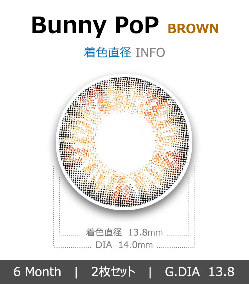 [6-Months] BUNNY POP Brown (2pcs)4
