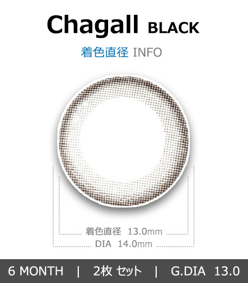 [Toric/6-Month] Chagall Toric Black (2pcs)4