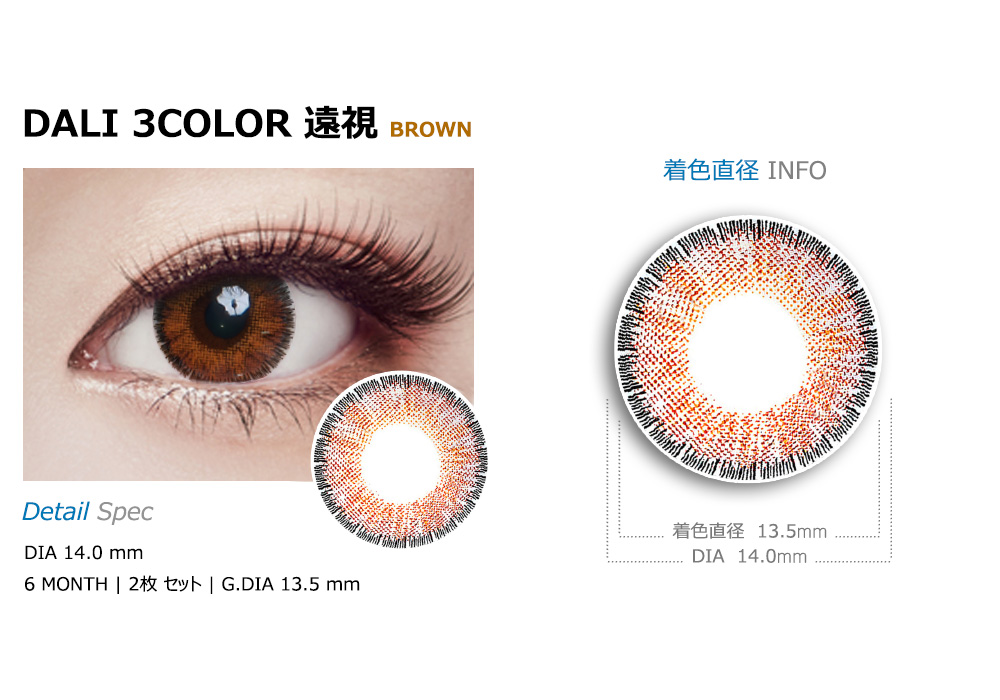 [Hyperopia/6-Month] Dali 3-Color Brown (2pcs)