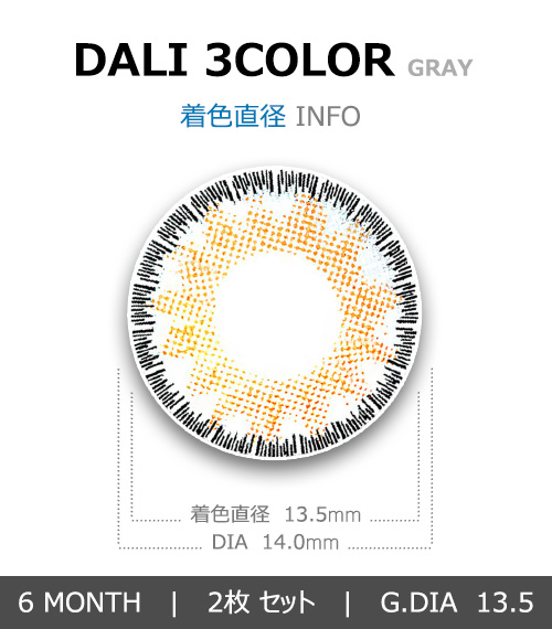[Toric/6-Month] Dali 3-Color Toric Gray (2pcs)4
