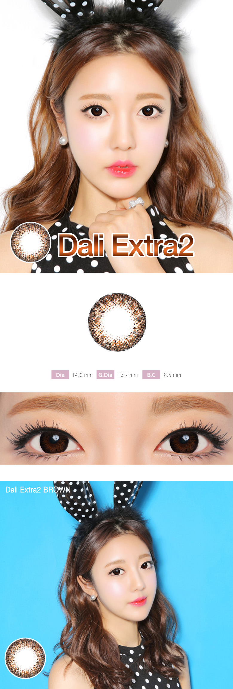 [6-Month] Dali Extra2 Brown (2pcs)