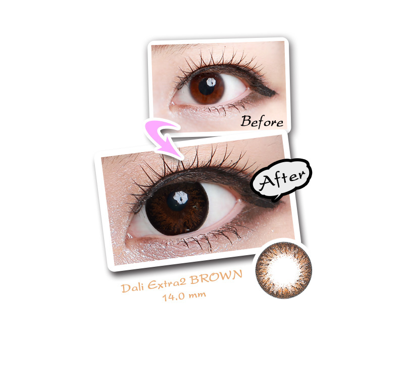 [6-Month] Dali Extra2 Brown (2pcs)