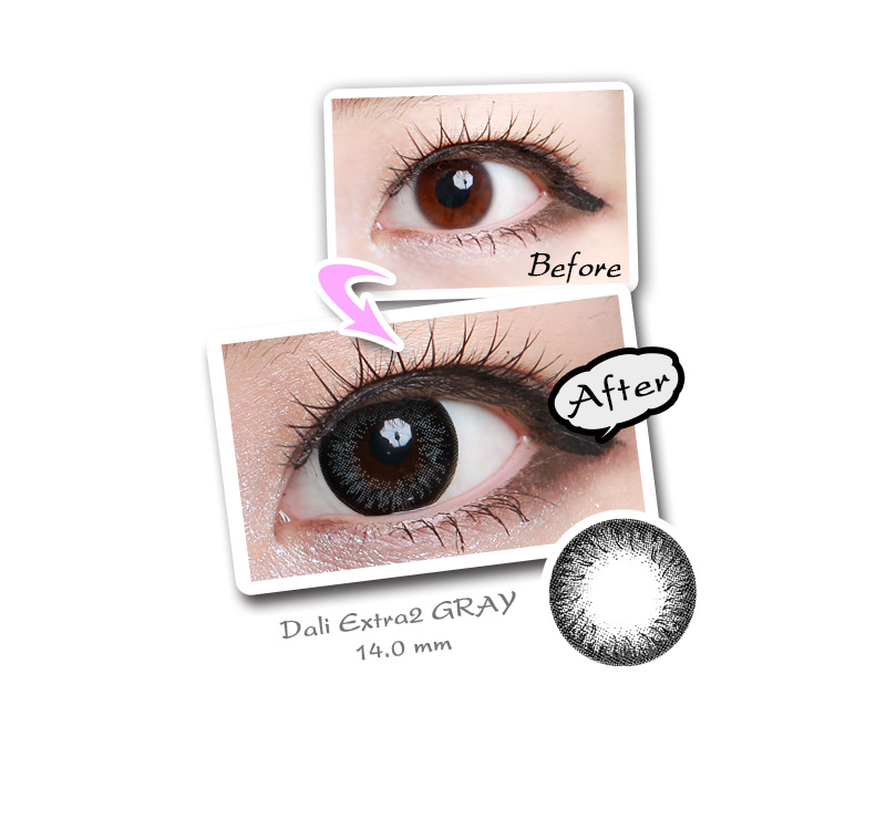 [6-Month] Dali Extra2 Gray (2pcs)