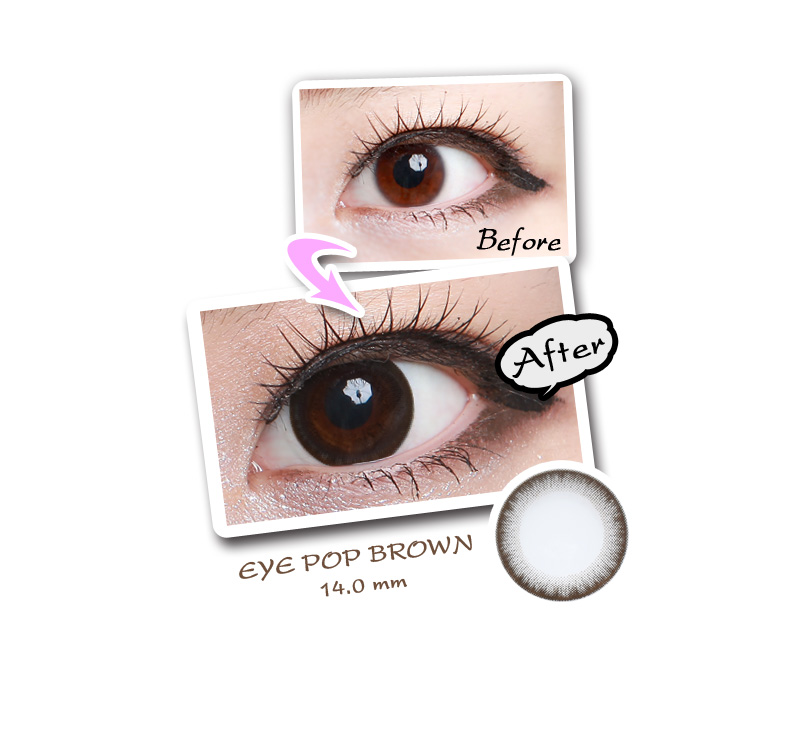 [6-Month] EYE POP Brown (2pcs)