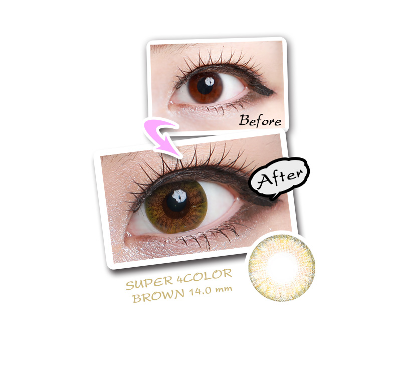 [6-Month] Super 4Color Brown (2pcs)