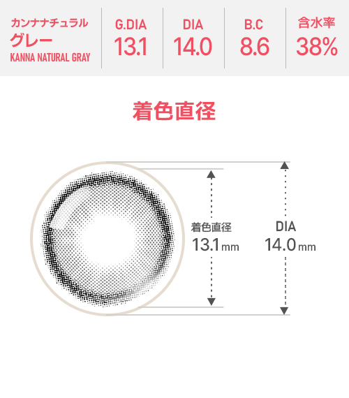[Toric/Select Period] Toricme・Kanna Natural Gray4