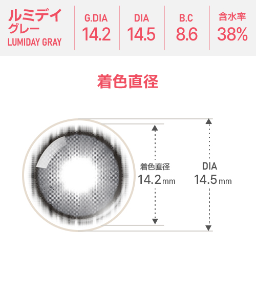 [Select Period] Pickme・Lumi Day Gray4