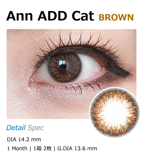 [1-Month] Ann ADD Cat Brown (2pcs)