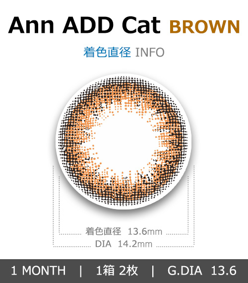 [1-Month] Ann ADD Cat Brown (2pcs)4