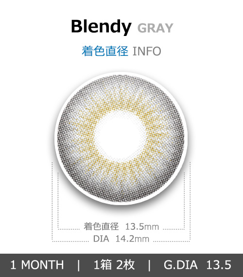 [1-Month] Blendy Silicone Gray (2pcs)4