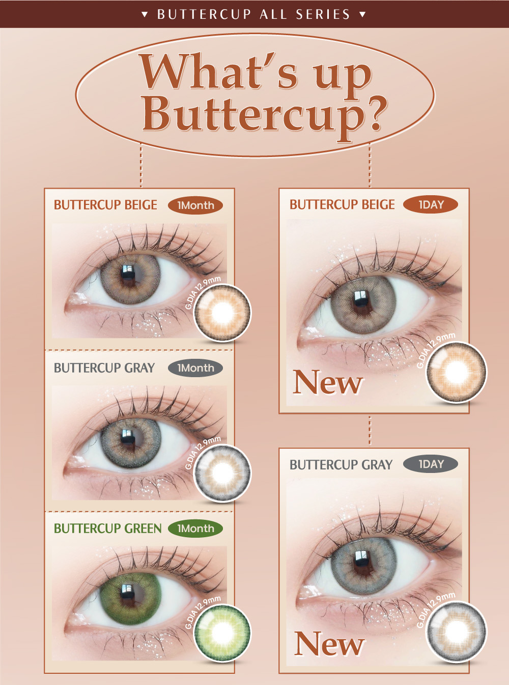 [1-Day] Buttercup Beige (10pcs)