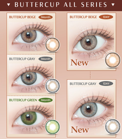 [1-Day] Buttercup Beige (10pcs)5