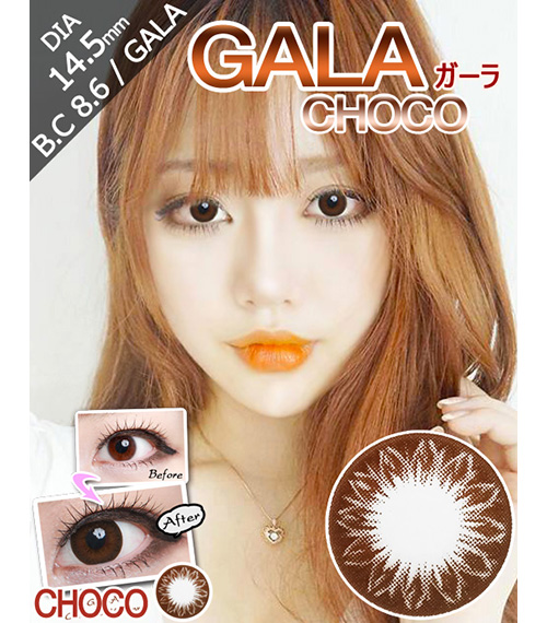 [6-Months] Gala Choco (2pcs)1