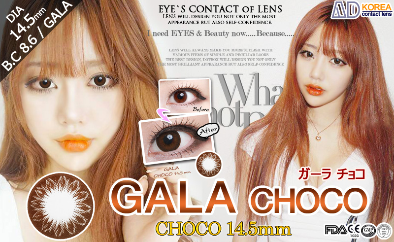 [6-Months] Gala Choco (2pcs)