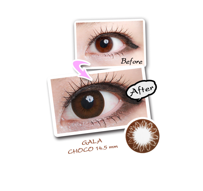 [6-Months] Gala Choco (2pcs)