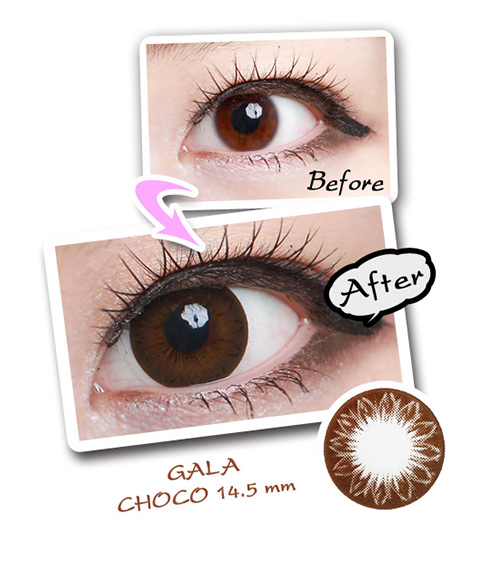 [6-Months] Gala Choco (2pcs)2